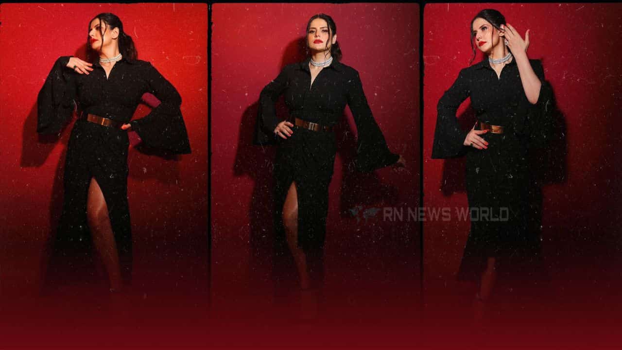 zareen khan biography