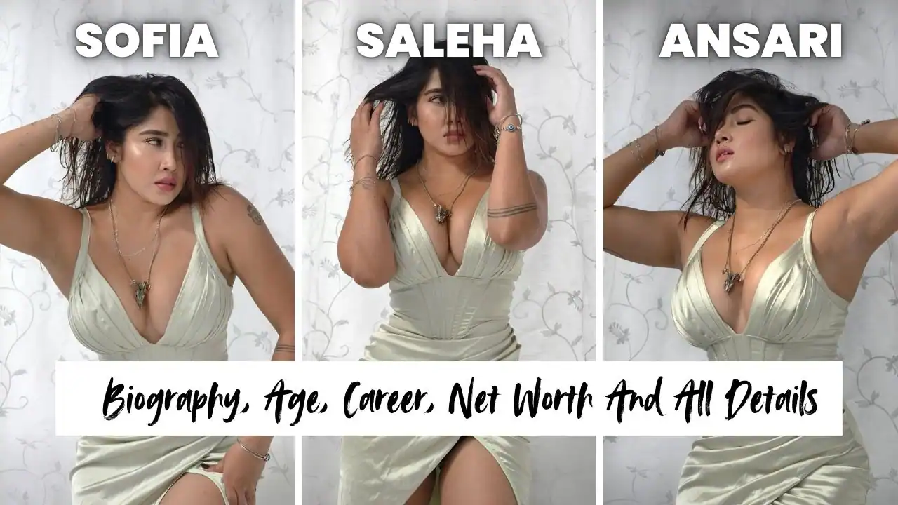 sofia ansari biography, career, wiki, net worth and all details